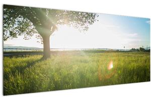 Tablou cu lunca în vară (120x50 cm)