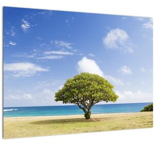 Tablou plaja cu copac (70x50 cm)