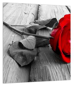 Tablou cu trandafirul roșu închis (30x30 cm)