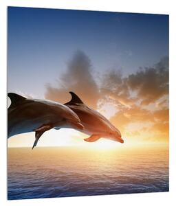 Tablou cu delfinii (30x30 cm)