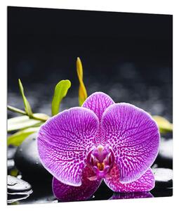 Tablou cu orhidee (30x30 cm)