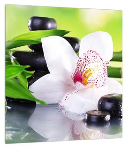 Tanblou cu orhidee (30x30 cm)