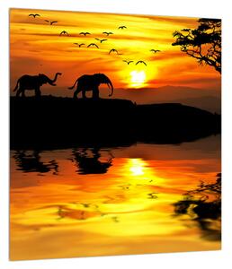 Tablou cu peisaj african cu elefant (30x30 cm)