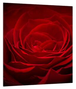 Tablou cu trandafir roșu (30x30 cm)