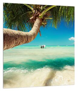 Tablou cu marea curată cu palmier (30x30 cm)