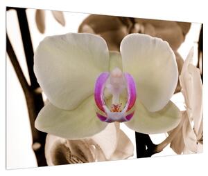 Tabllou cu orhidee (90x60 cm)
