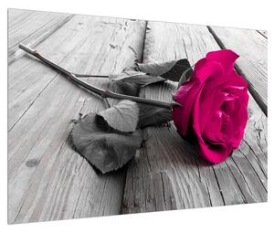 Tablou cu trandafirul roz (90x60 cm)