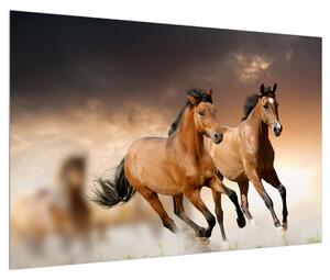 Tablou cu caii (90x60 cm)