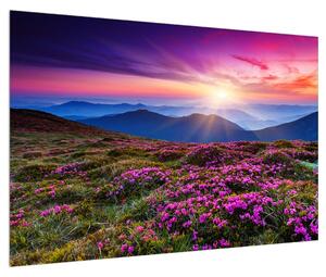Tablou cu peisaj montan înflorit (90x60 cm)