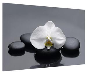 Tablou cu orhidee (90x60 cm)