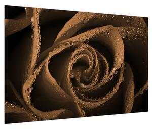Tablou cu trandafiri cu picături (90x60 cm)