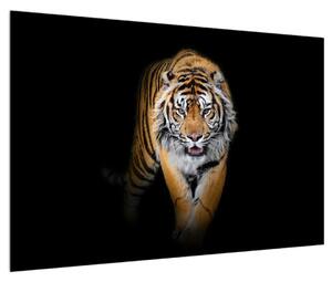 Tablou cu tigru (90x60 cm)