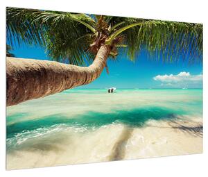 Tablou cu marea curată cu palmier (90x60 cm)