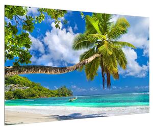 Tablou cu palmier și plaja (90x60 cm)