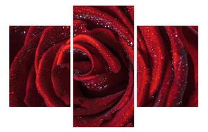 Tablou cu trandafir roșu (90x60 cm)