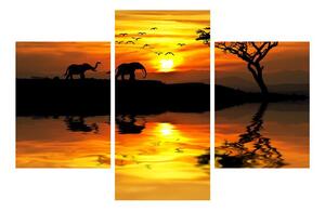 Tablou cu peisaj african cu elefant (90x60 cm)
