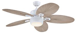 7316440 Ventilator de tavan cu lumină, gri, silențios – Westinghouse Westinghouse, 7316440, Gri, Camera de zi, Plastic