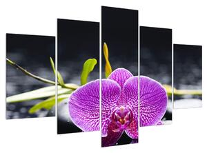 Tablou cu orhidee (150x105 cm)