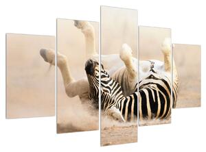 Tablou cu zebră culcată (150x105 cm)