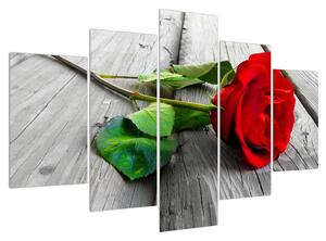 Tablou cu trandafirul roșu (150x105 cm)
