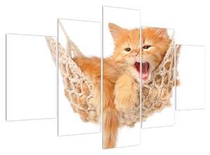 Tablou cu pisica în plasă (150x105 cm)