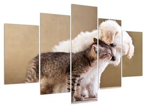 Tablou câinele cu pisica (150x105 cm)