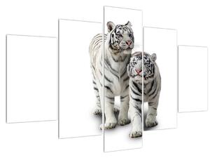 Tablou cu tigrul alb (150x105 cm)