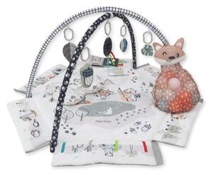 Centru de activitati multifunctional 5 in 1, Minky, Milly Mally