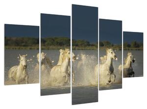 Tablou cu cai albi (150x105 cm)