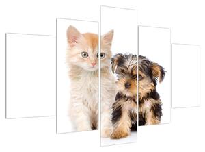 Tablou câine și pisica (150x105 cm)
