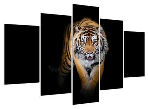 Tablou cu tigru (150x105 cm)