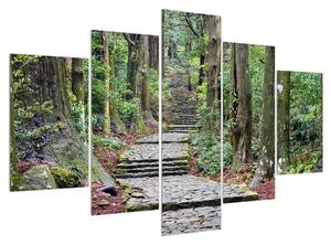 Tablou cu trepte din piatră în pădure (150x105 cm)