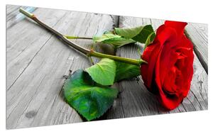 Tablou cu trandafirul roșu (120x50 cm)