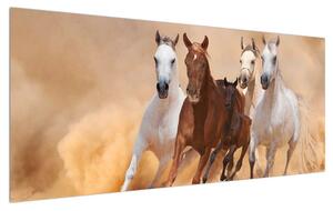 Tablou cu cai (120x50 cm)