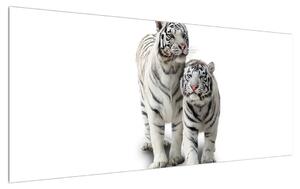 Tablou cu tigrul alb (120x50 cm)