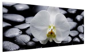Tablou cu orhidee (120x50 cm)