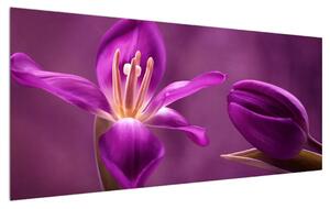Tablou cu floare violet (120x50 cm)