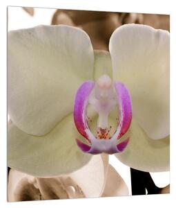Tabllou cu orhidee (30x30 cm)