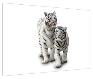 Tablou cu tigrul alb (90x60 cm)