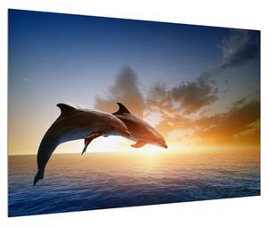 Tablou cu delfinii (90x60 cm)