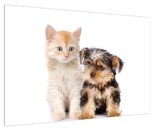 Tablou câine și pisica (90x60 cm)