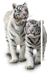 Tablou cu tigrul alb (90x60 cm)