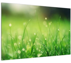 Tablou - roua pe iarbă (90x60 cm)