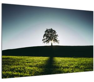 Tablou cu natura - copac (90x60 cm)