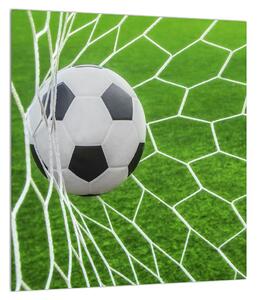 Tablou cu mingea de footbal în plasă (30x30 cm)