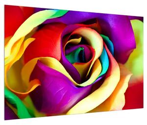 Tablou colorat cu trandafirul abstract (90x60 cm)