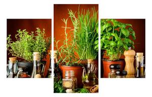 Tablou cu plante și condimente (90x60 cm)