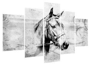 Tablou - porttret de cal (150x105 cm)