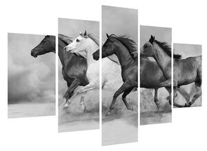 Tablou alb negru cu cai (150x105 cm)