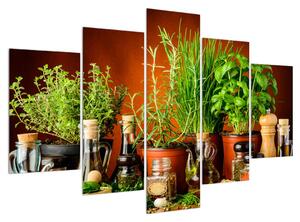 Tablou cu plante și condimente (150x105 cm)